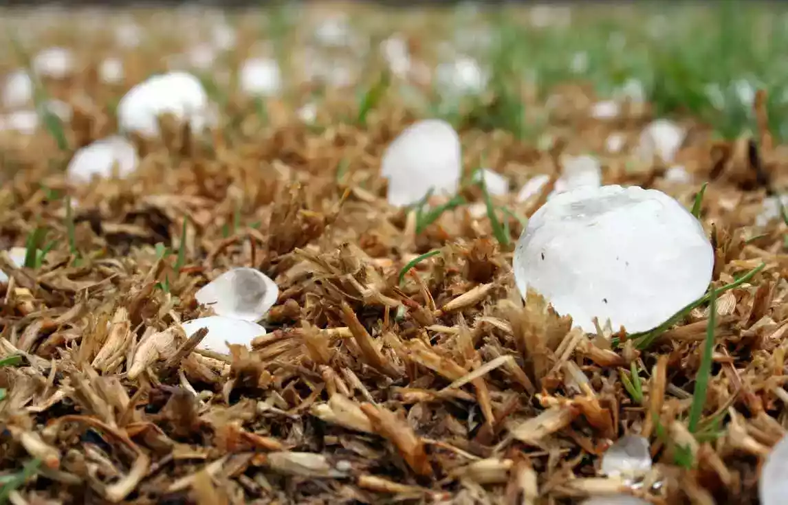 HAIL DAMAGE